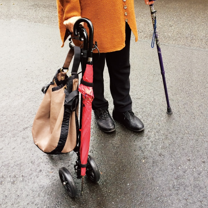 ハンドレールステッキⅡ ブーケ WB5134｜ファミリー・ライフ公式通販