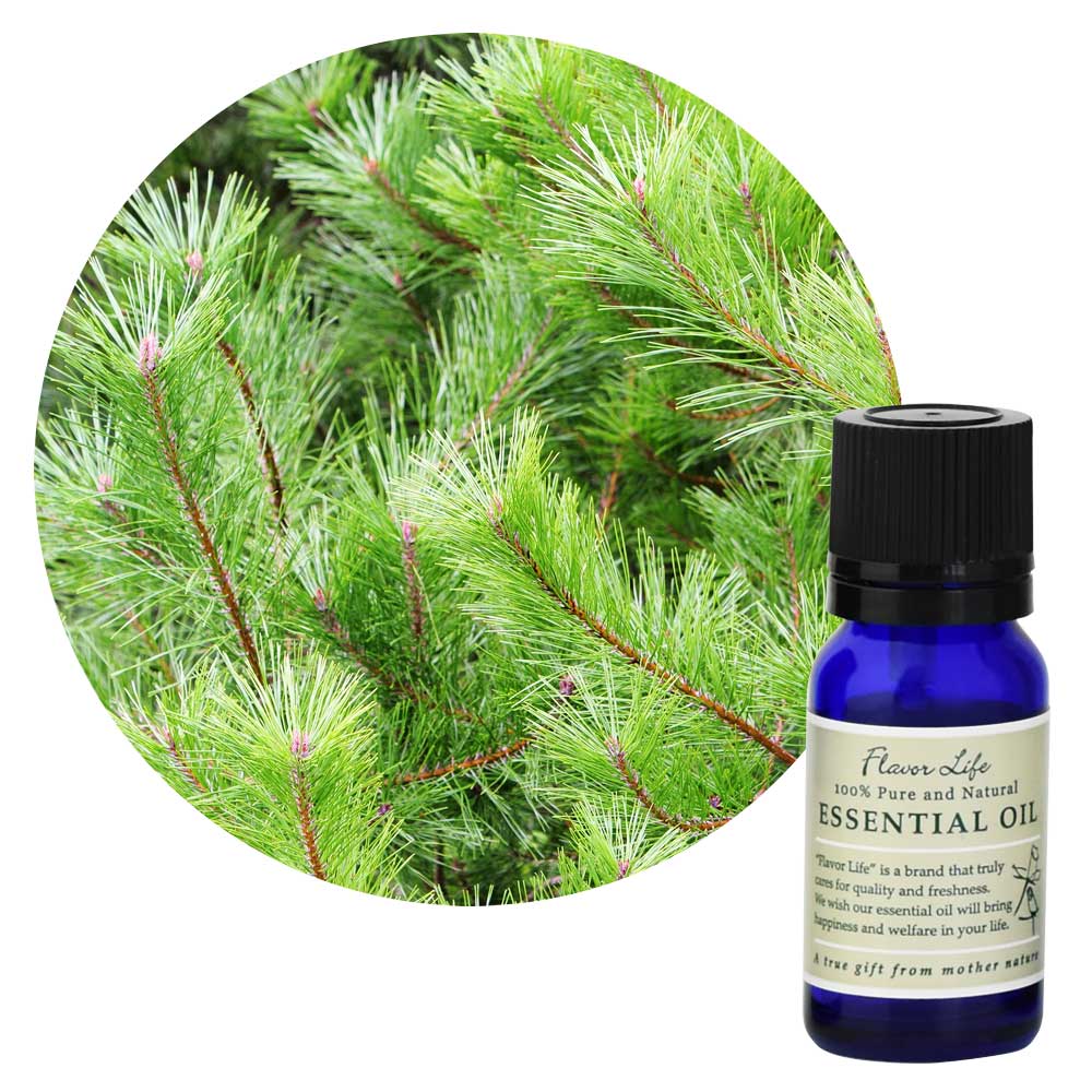フレーバーライフ】パインニードル｜エッセンシャルオイル（精油