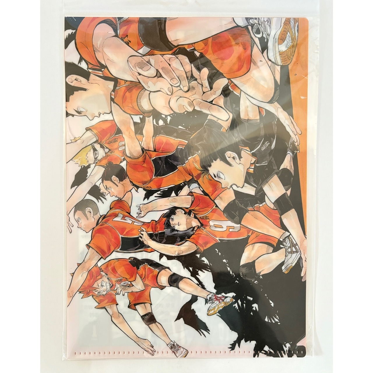 ハイキュー STARTING ORDER クリアファイル【予約】 | ハイキュー