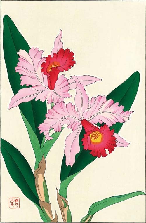 木版画のことなら『木版画 版元 芸艸堂 Woodblock print』