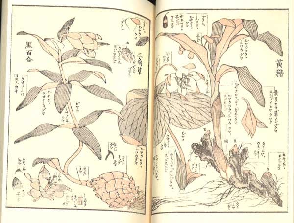 木版画のことなら『木版画 版元 芸艸堂 Woodblock print』