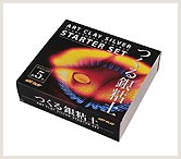 アートクレイシルバー スターターセット 銀イオン＆ナノシルバーの抗菌