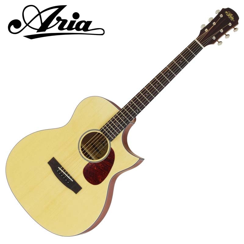 ARIA/エレアコ Aria-101CE MTN (Natural, Matt)〈アリア〉 | Acoustic