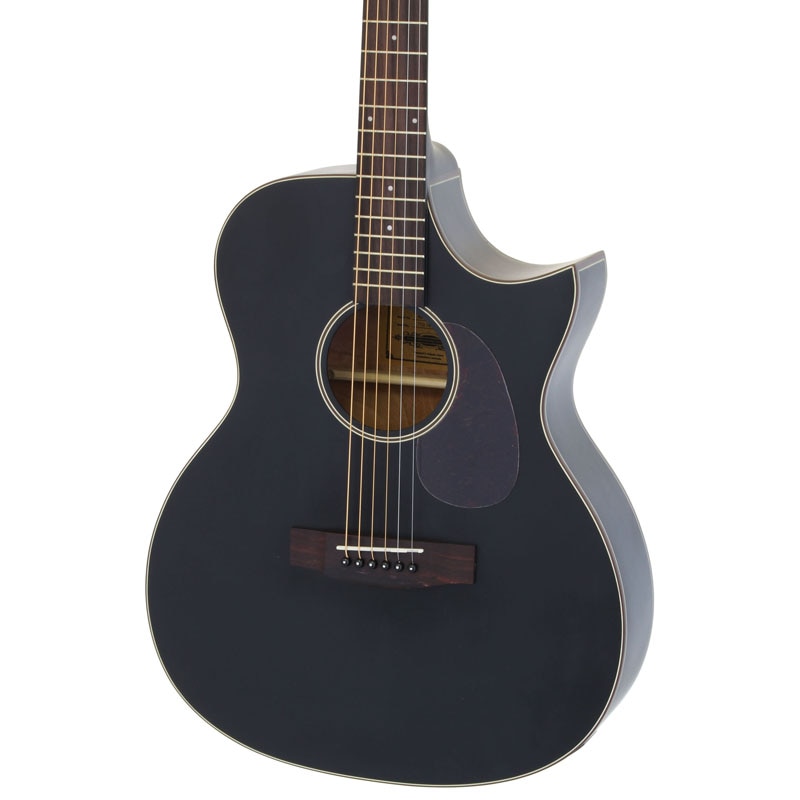 ARIA/エレアコ Aria-101CE MTBK (Black, Matt)〈アリア〉 | Acoustic