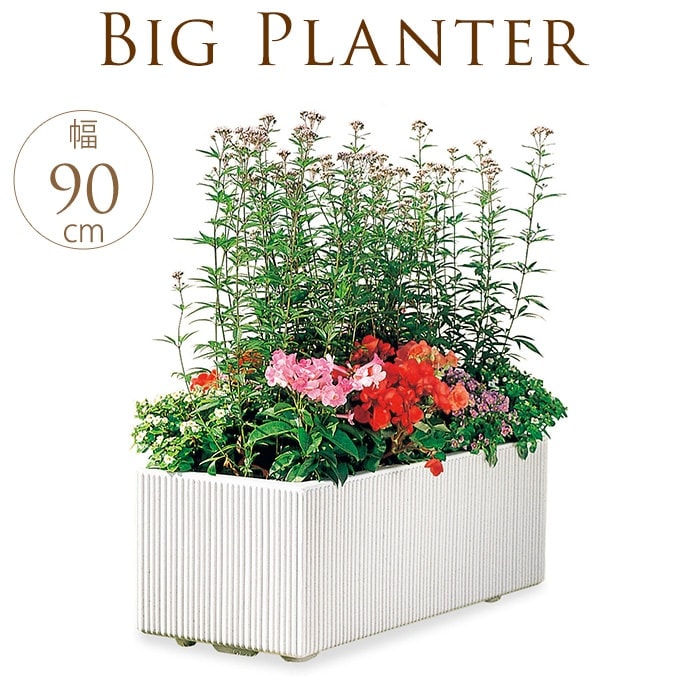 プランター 鉢 大型プランター シティボックス ストライプ 大きい 大型