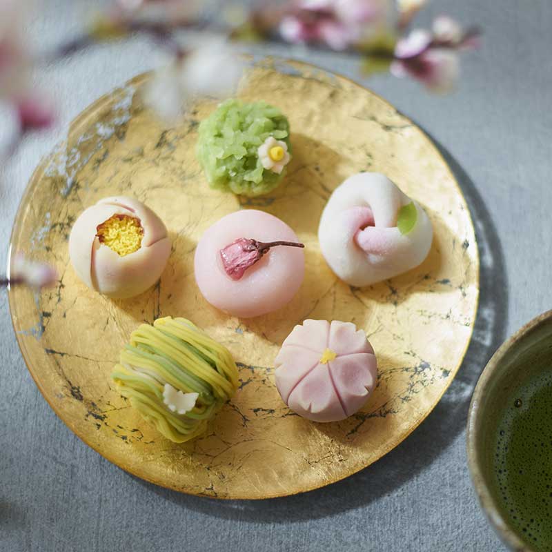 季節の上生菓子8個入 [A049BN] | 店舗,高林堂 | 旅するように和菓子と