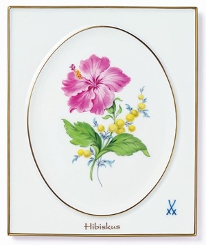 マイセン プラーク マンスリーフラワー ハイビスカス 53N32/04A030-9