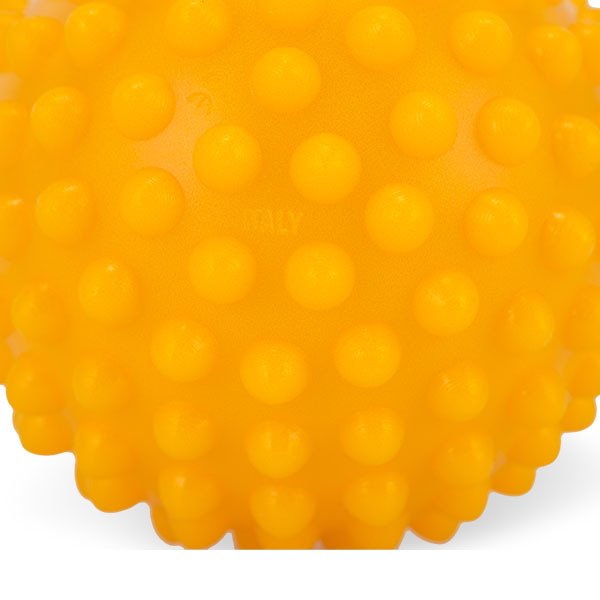 ギムニク 触覚ボール 10 Gymnic ソフトタイプ 10cm センシーボール 2個