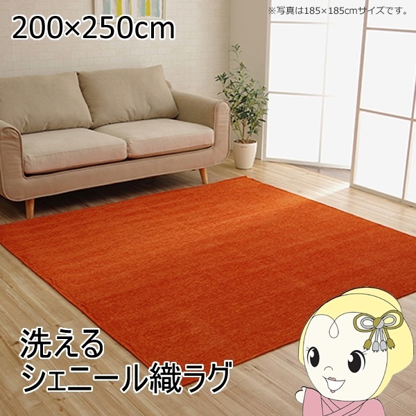 ラグ 長方形 洗える 撥水 無地 シンプル 滑りにくい コンパクト