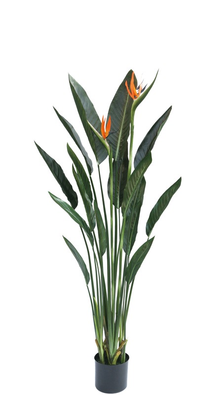 フェイクグリーン ストレチア1300｜フェイクグリーン・人工植物 専門店