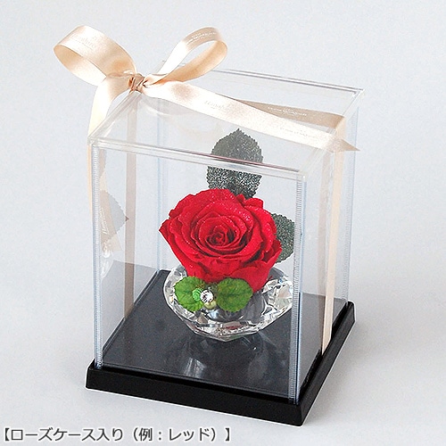 ダイヤモンドローズ | シーン別,プリザーブドフラワー特集 | 花