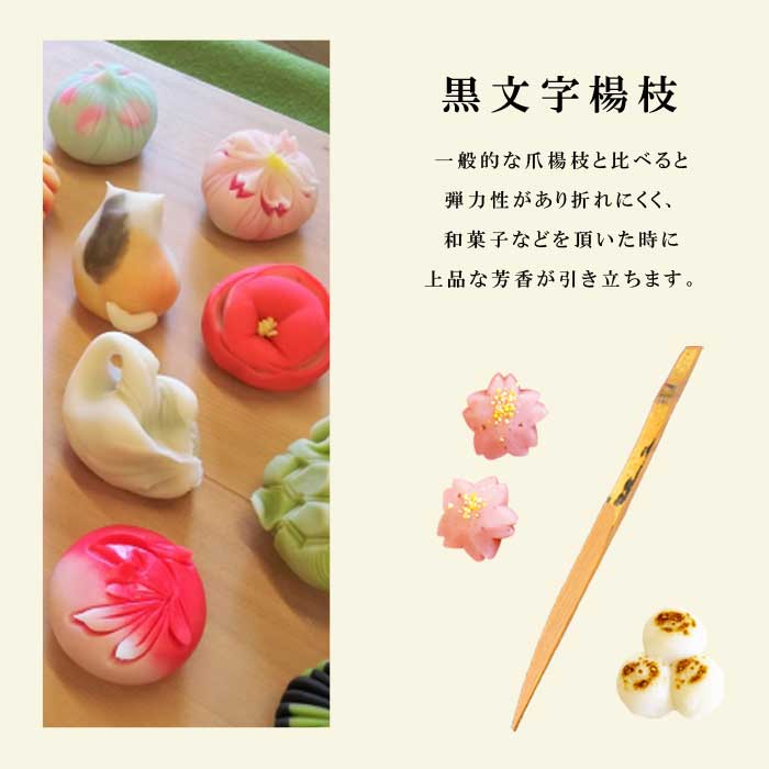 クロモジ ( 黒文字 ) 苗 10.5cmポット 高級爪楊枝 落葉低木 庭木 苗木