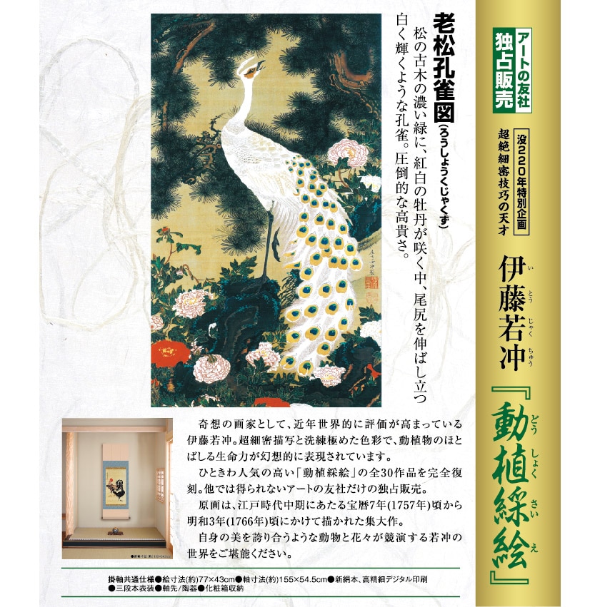 伊藤若冲 動植綵絵 老松孔雀図 高級仕様 掛軸 美術品 インテリア 作品