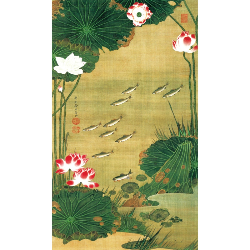 伊藤若冲 動植綵絵 蓮池遊魚図 高級仕様 掛軸 美術品 インテリア 作品