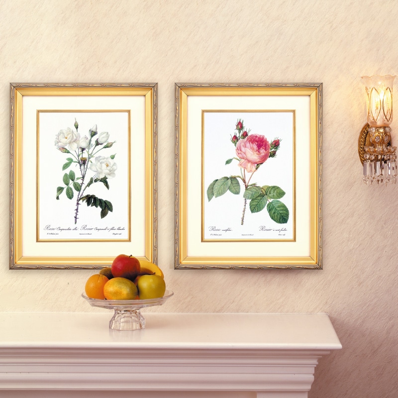 ルドゥーテ バラ図譜 ロサ センティフォリア 壁掛けアート ボタニカル