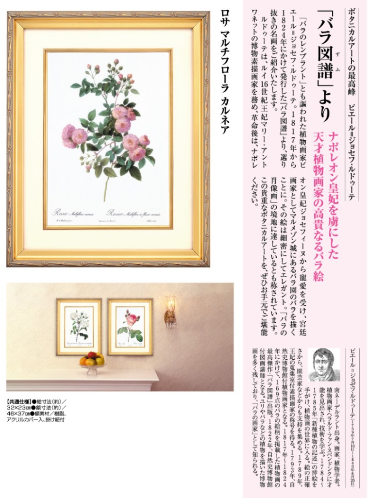 ルドゥーテ バラ図譜 ロサ マルチフローラ カルネア 壁掛けアート