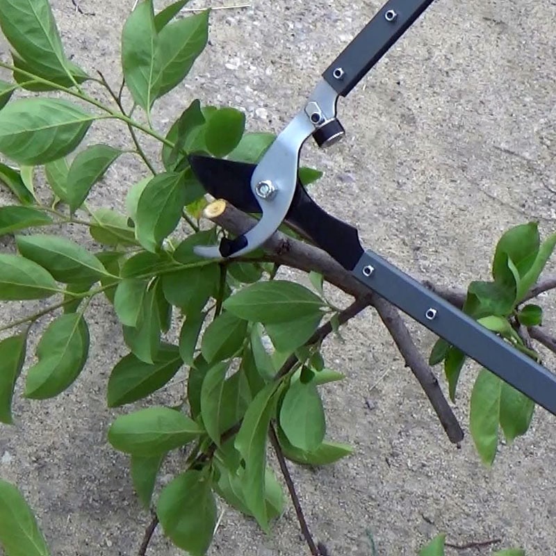 FG 強力太枝切鋏 S621-RG ｜金象印の公式通販サイト【金象本舗】