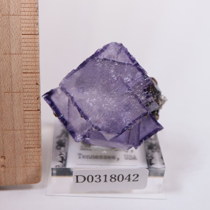 エルムウッド鉱山 フローライト | 鉱物標本,ハ行,フローライト/蛍石