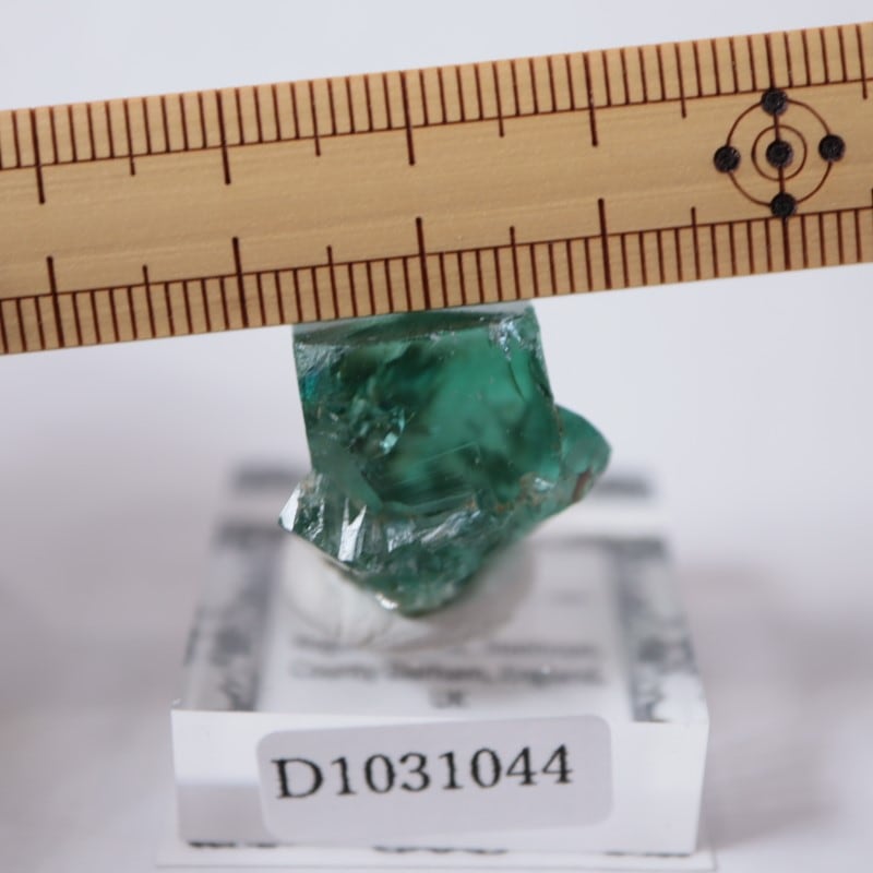 ロジャリー鉱山 フローライト | 鉱物標本,ハ行,フローライト/蛍石