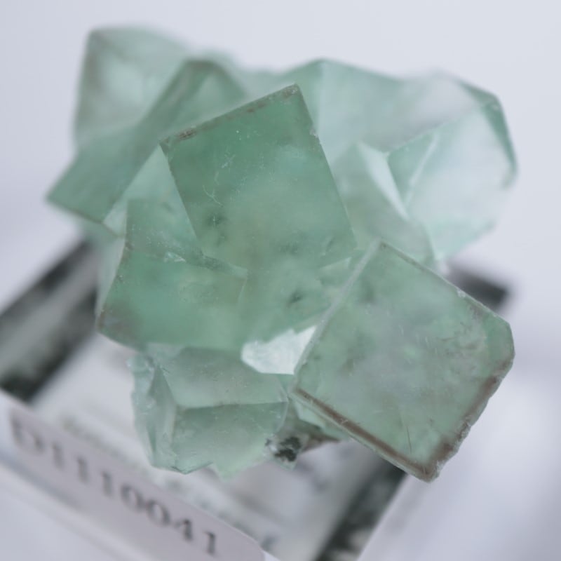 シャンファーリン産 蛍石 | 鉱物標本,ハ行,フローライト/蛍石,フロー