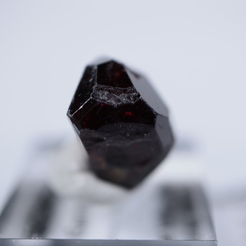 パキスタン産 ガーネット | 鉱物標本,カ行,ガーネットグループ/石榴石