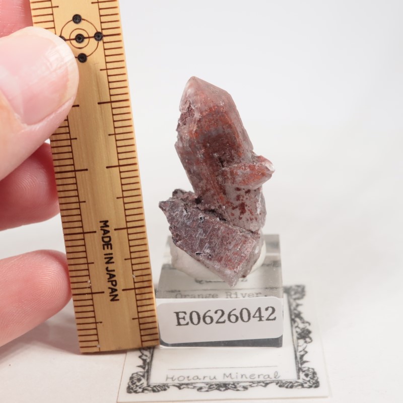 オレンジリバー水晶 | 鉱物標本,カ行,クォーツ/水晶 | ほたるみねらる