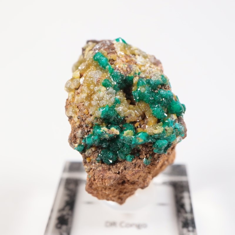 コンゴ産 ダイオプテーズ | 鉱物標本,タ行,ダイオプテーズ/翠銅鉱