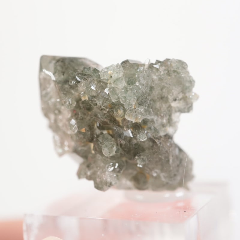 ブラジル産 クローライトinクォーツ | 鉱物標本,カ行,クォーツ/水晶