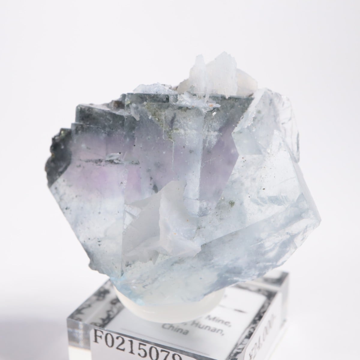 ヤオガンシャン鉱山産 フローライト | 鉱物標本,ハ行,フローライト/蛍