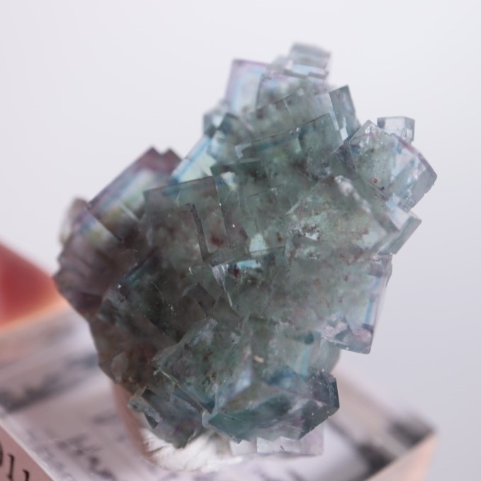 オコルス鉱山 フローライト | 鉱物標本,ハ行,フローライト/蛍石