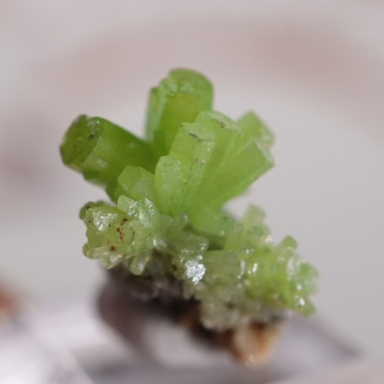 中国産 パイロモルファイト | 鉱物標本,ハ行,パイロモルファイト/緑鉛