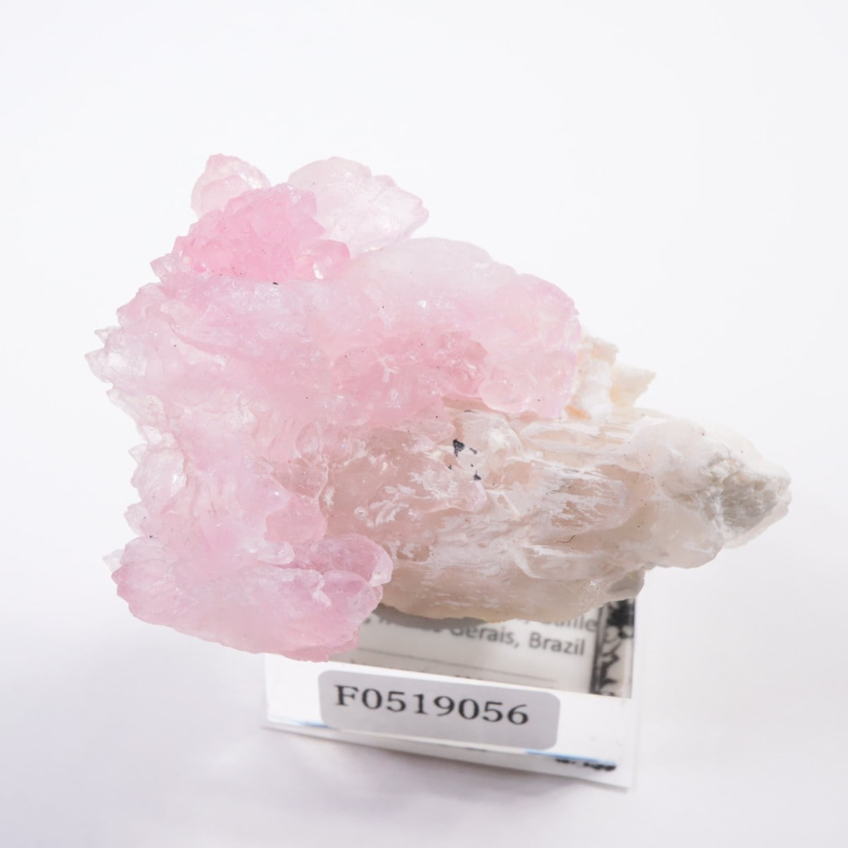 Pitorra claim産 ローズクォーツ | 鉱物標本,カ行,クォーツ/水晶