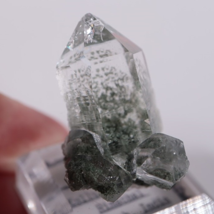 インド産 クローライトインクォーツ | 鉱物標本,カ行,クォーツ/水晶