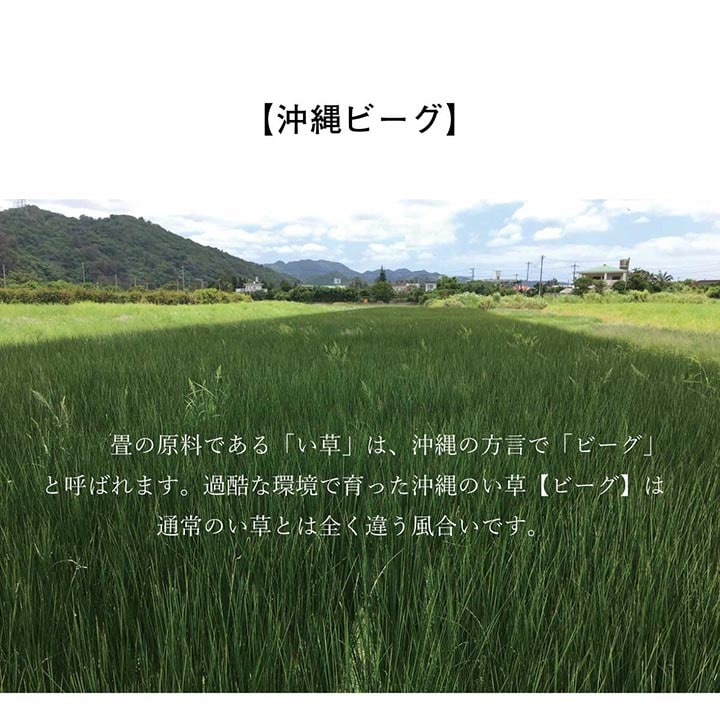 20日間返品無料】国産い草ラグ DX沖縄ビーグ ｜イケヒコ公式通販