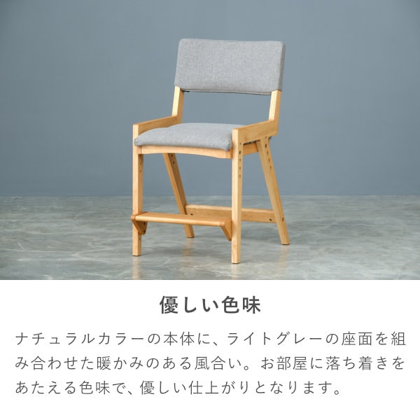 ISSEIKI SOLANA-2 DESK CHAIR (RW-NA-69SGY) | 【公式オンライン