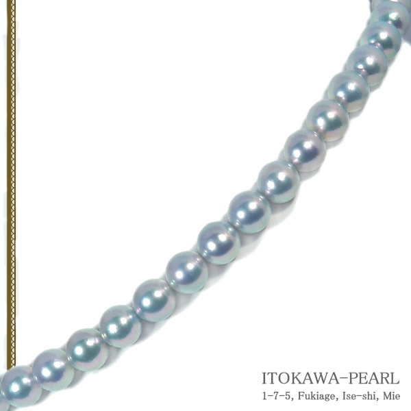 真多麻真珠 グレー系あこや真珠ネックレス＜8.5～9mm＞ 鑑別書付 N