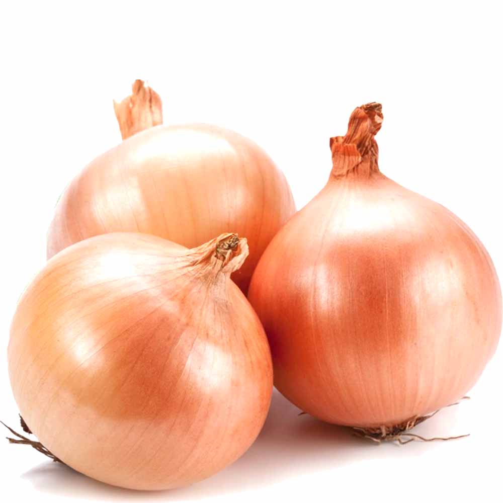 玉ねぎ抜き苗 品種：もみじ3号(晩生) 【野菜の苗 約50本／束