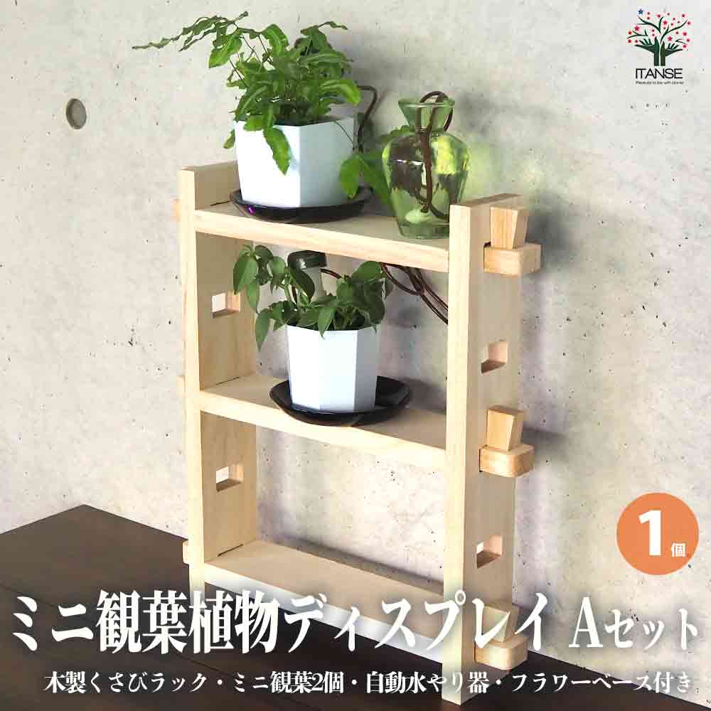 ミニ観葉植物ディスプレイ&生育棚 自動水やり器付き・木製くさびラック