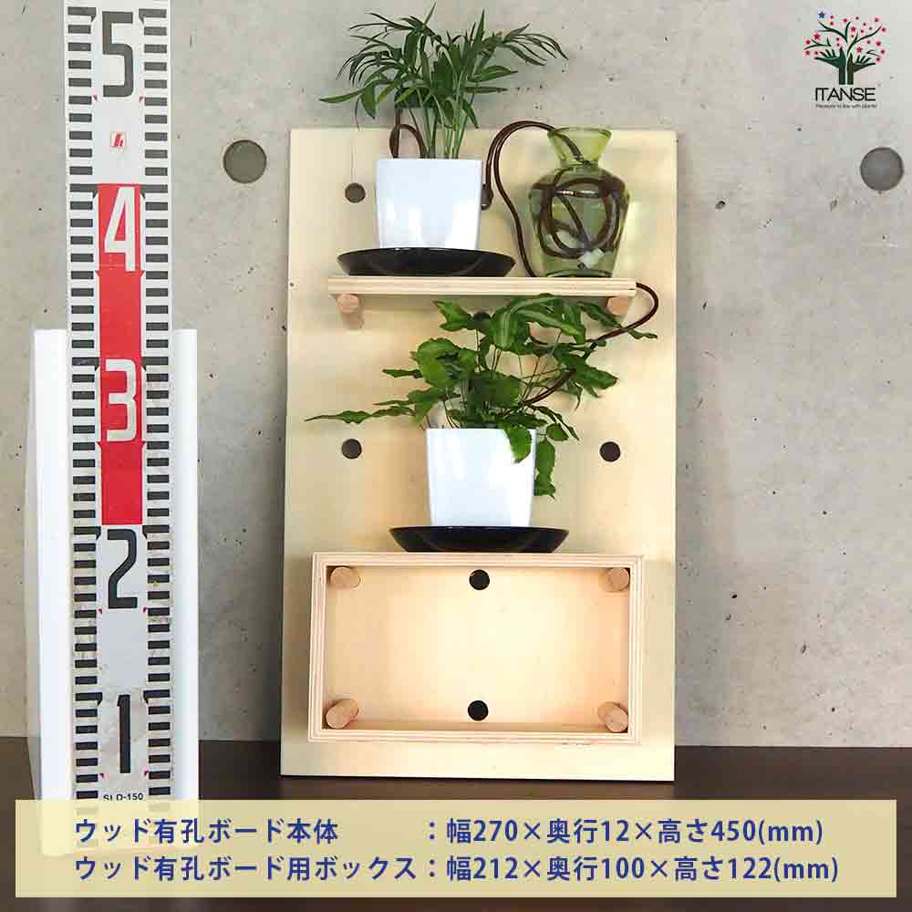 ミニ観葉植物壁面ディスプレイ&ボックス 工具ほぼいらずWAセット【資材