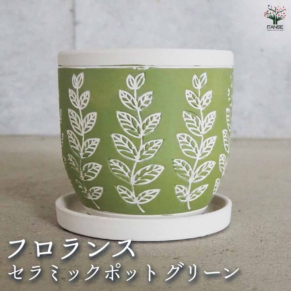 陶器鉢 フロランス B セラミックポット グリーン 【陶器鉢 ／1個売り