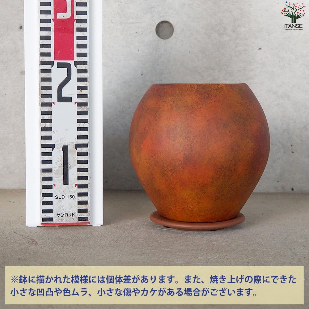 皿付陶器鉢 彩色焼磁 ダークオレンジ【資材 17cm】｜ 【植物の