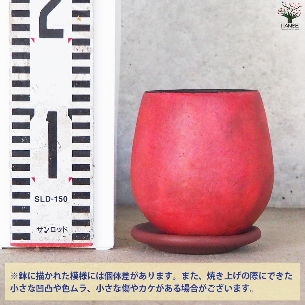 皿付陶器鉢 彩色焼磁 レッド【資材 10cm】｜ 【植物のITANSE