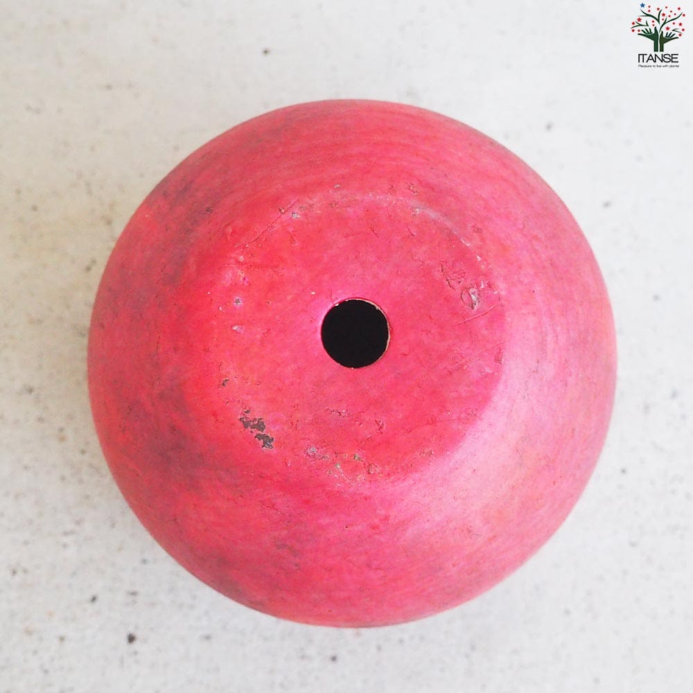 皿付陶器鉢 彩色焼磁 レッド【資材 10cm】｜ 【植物のITANSE