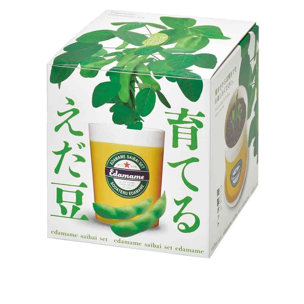 栽培セット 育てるえだ豆 【1個売り】｜ 【植物のITANSE】全品
