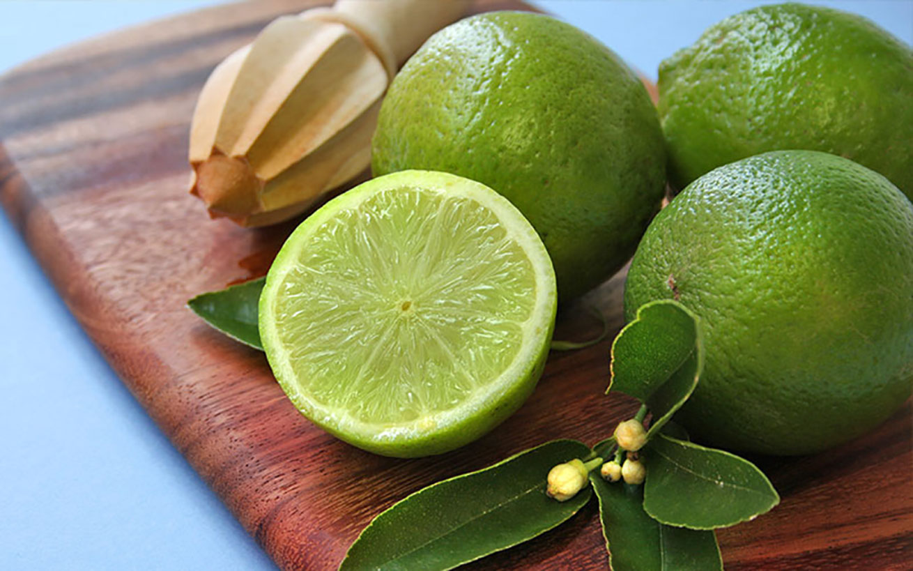 大実サイパンレモン」【果樹挿し木苗9cmポット／2個セット】｜ 【植物