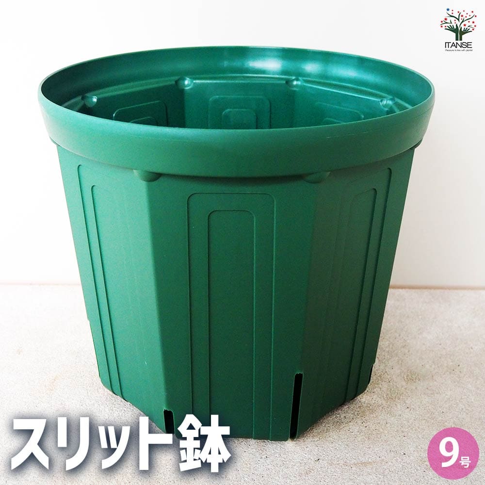 スリット鉢 【プラ鉢 9号】｜ 【植物のITANSE】全品送料無料・即