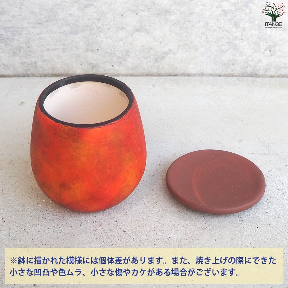 皿付陶器鉢 彩色焼磁 オレンジ【資材 10cm】｜ 【植物のITANSE