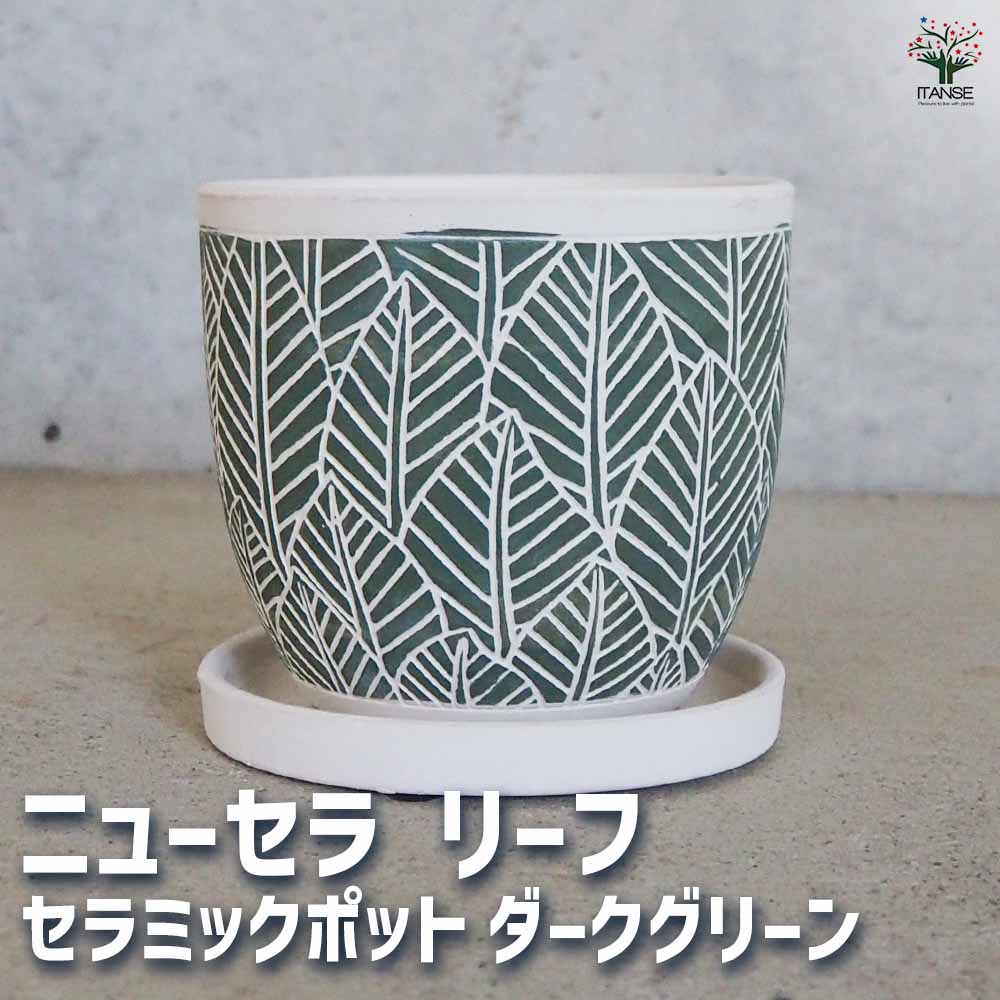 陶器鉢 ニューセラ リーフ D セラミックポット ダークグリーン 【陶器