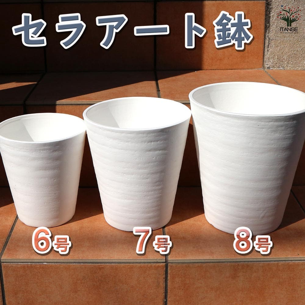 セラアート 長鉢 白 プラスチック鉢 表面が陶器風の加工 【資材