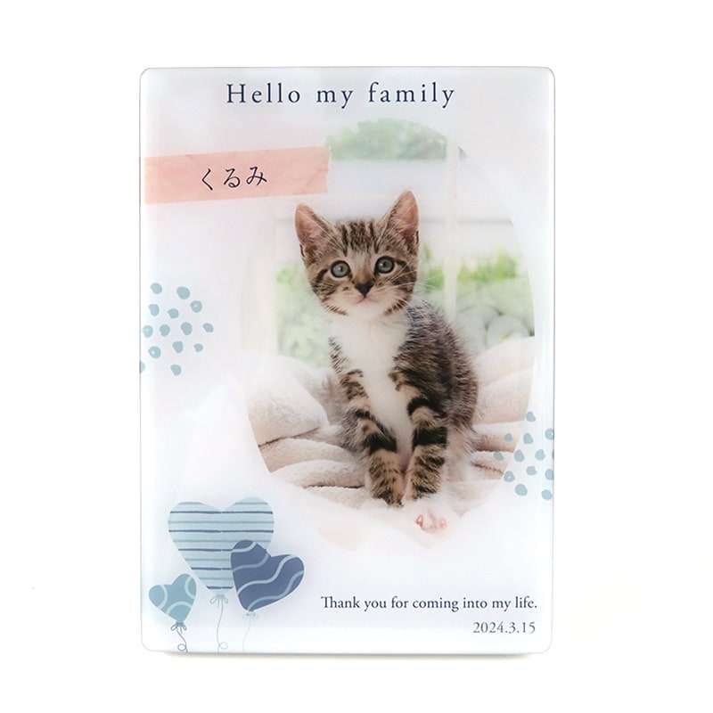 オーダーメイド（名前入り）】クリスタルパネル （風船タイプ） 送料